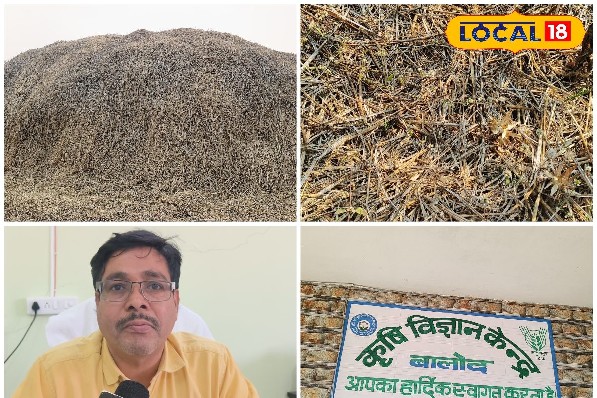 पैरा नहीं, खेती का खजाना! जलाने के बजाय ऐसे करें इस्तेमाल, बढ़ेगी पैदावार, एक्सपर्ट से समझें