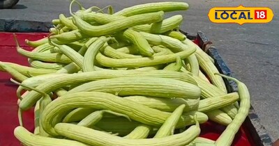 ककड़ी फल 