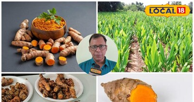 हल्दी का तेल काफी महंगा बिकता है.