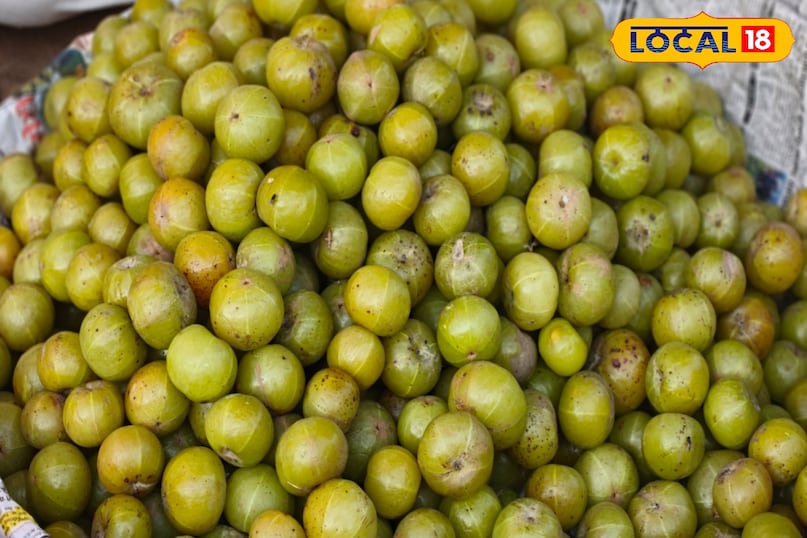 पाचन तंत्र 