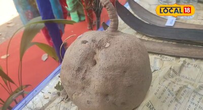 कृषि वैज्ञानिक ने जमीन से 7 फीट नीचे उगाया  पाताल खोहड़ा, ब्लड कैंसर जैसे बीमारी