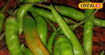 मिर्च को लंबे समय तक करें स्टोर 