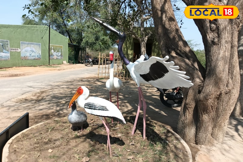 भरतपुर राजस्थान 