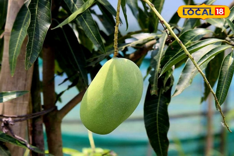 धूप है जरूरी धूप है जरूरी