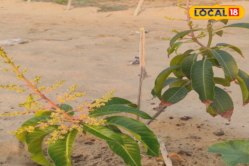 पानी पानी