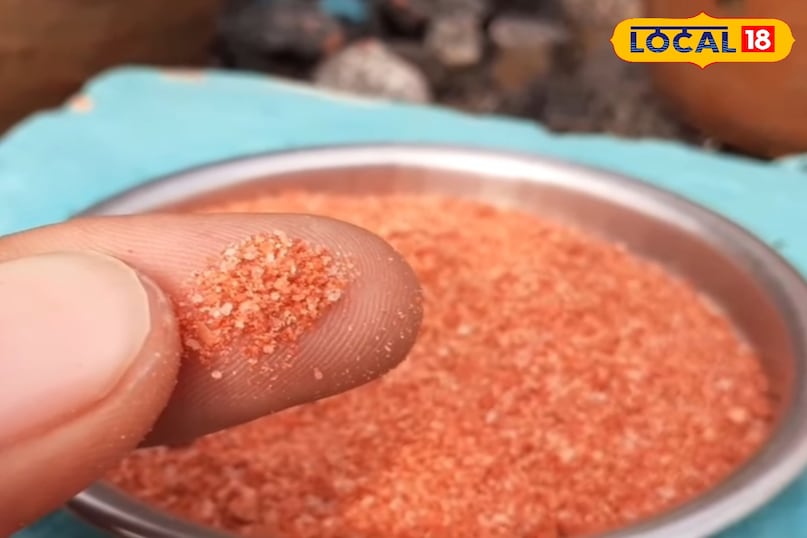 नींबू के पौधे से ज्यादा फल कैसे लें, नींबू में रस को कैसे बढ़ाएं, नींबू के साइज को बड़ा कैसे करें, नींबू के पौधे की गर्मियों में देखभाल कैसे करें, नींबू के पौधे को कौन से पोषक तत्व दें, लोकल 18, How to get more fruit from lemon plant, how to increase juice in lemon, how to increase the size of lemon, how to take care of lemon plant in summer, which nutrients should be given to lemon plant, Local 18