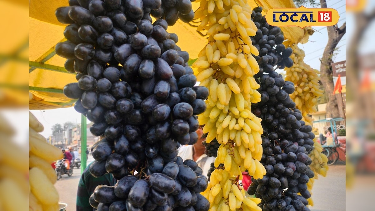काले-हरे अंगूर का अलग-अलग काम, जानें किसको खाने से के क्या फायदे? गर्मी में कौन सा बेस्ट?