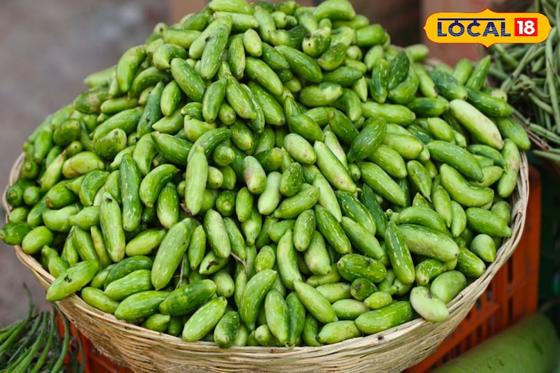 पाचन तंत्र पाचन तंत्र