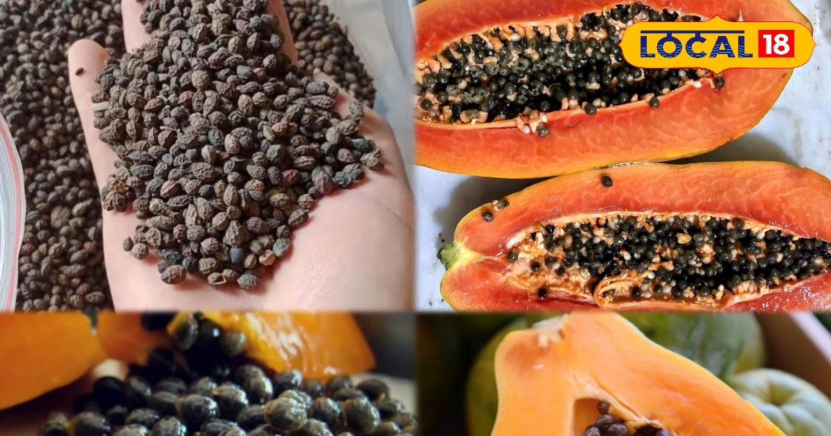 पपीता का फल ही नहीं बीज भी है सुपर बूस्टर,  जानें कैसे करें इस्तेमाल