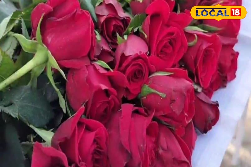 Moradabad news, hindi news, local news, up news, मुरादाबाद समाचार, हिंदी समाचार, लोकल समाचार, यूपी समाचार।