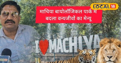 गर्मी का वार, बायोपार्क तैयार! शेर-टाइगर की बदली डाइट, भालू को मिलेगी आइसक्रीम.