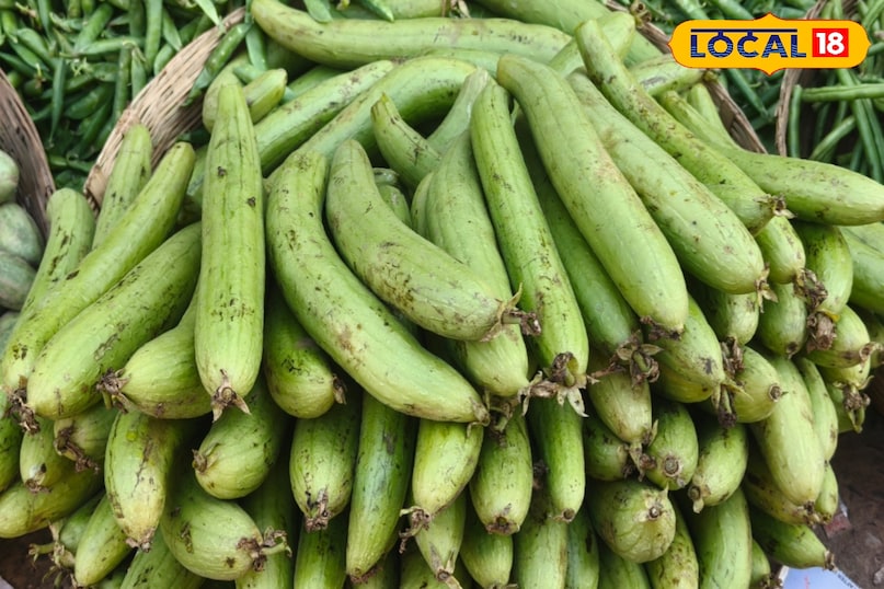 पाचन तंत्र 