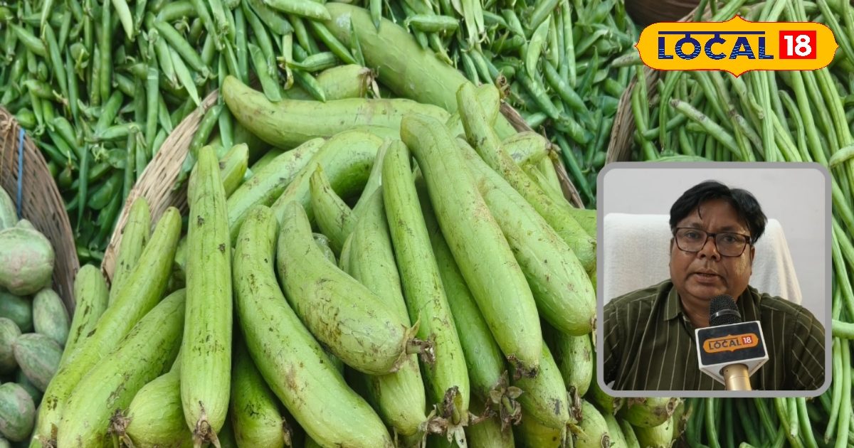 वजन कम करना हो आसान, तो रोज़ाना नेनुआ क्यों खाना चाहिए, जानिए बड़ी वजह