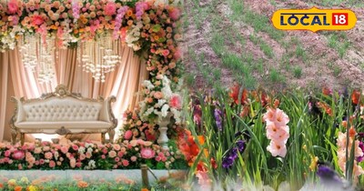 फूलों का खेत