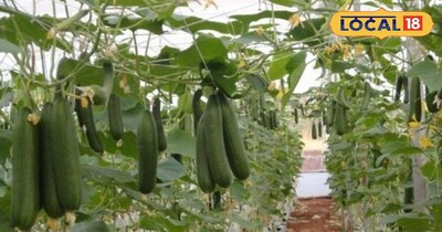 युवाओं को अपनी जड़ों से जोड़ने में मददगार बन रहीं नवीन कृषि 