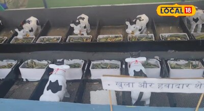 Animal Husbandary -  गर्मी और लू से बचाने के लिए गाय व भैंसों के लिए बनाये सोलर