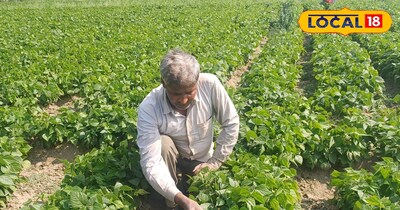 अप्रैल की झुलसाती गर्मी में भी कमाई नहीं होगी कम ये 8 सब्जियां बना देंगी खेत को