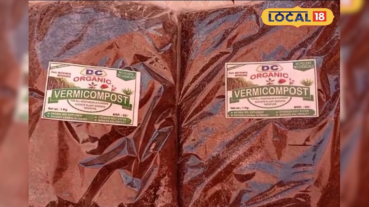 लॉकडाउन में मुरादाबाद की महिला दीपाली चौहान ने शुरू किया कारोबार, आज कमा रही लाखों का मुनाफा