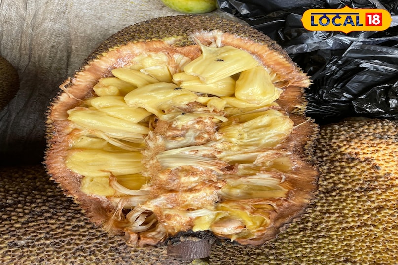 कटहल कटहल