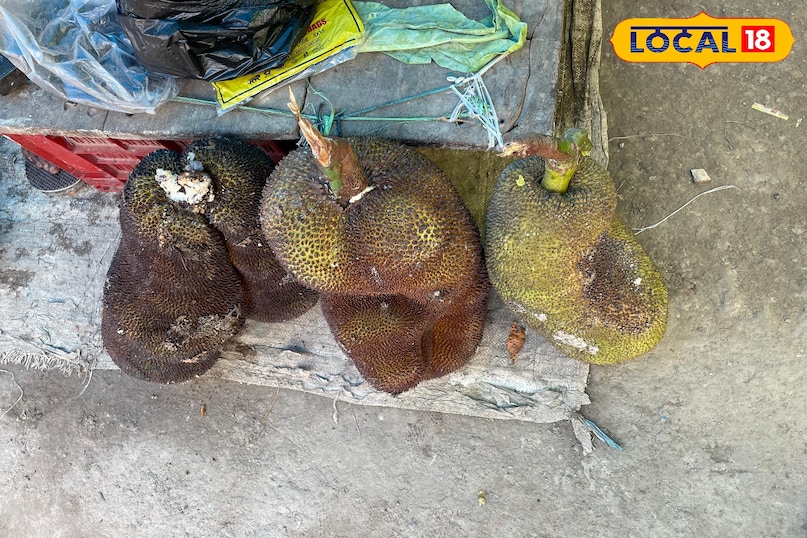 कटहल कटहल