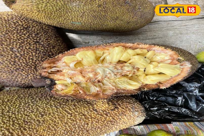 कटहल कटहल