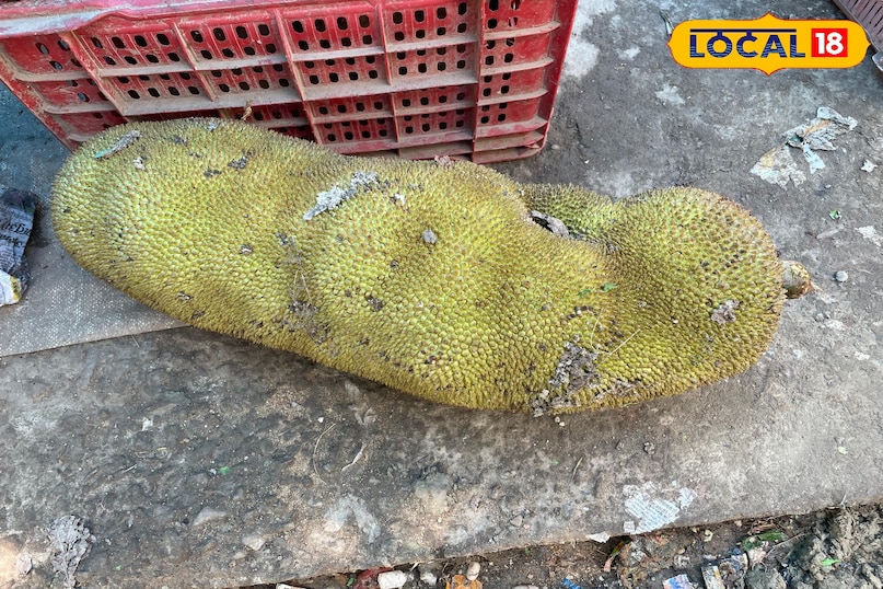 कटहल कटहल