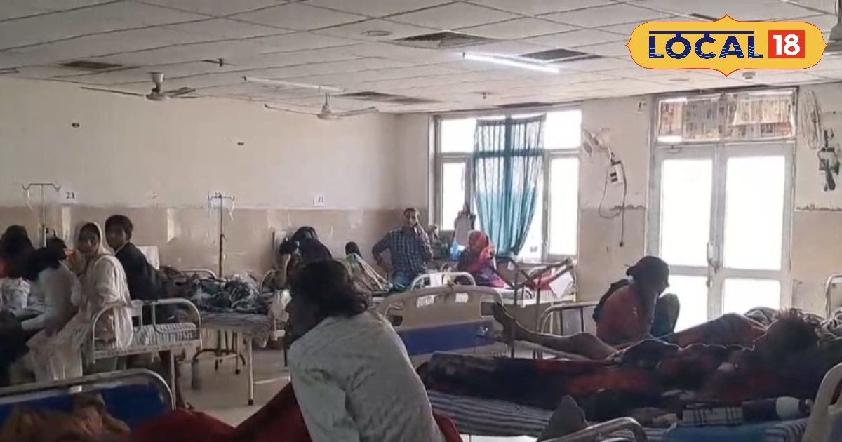 आखिर क्यों कुट्टू का आटा नुकसान करता है, किन परिस्थितियों में नहीं खाना चाहिए?