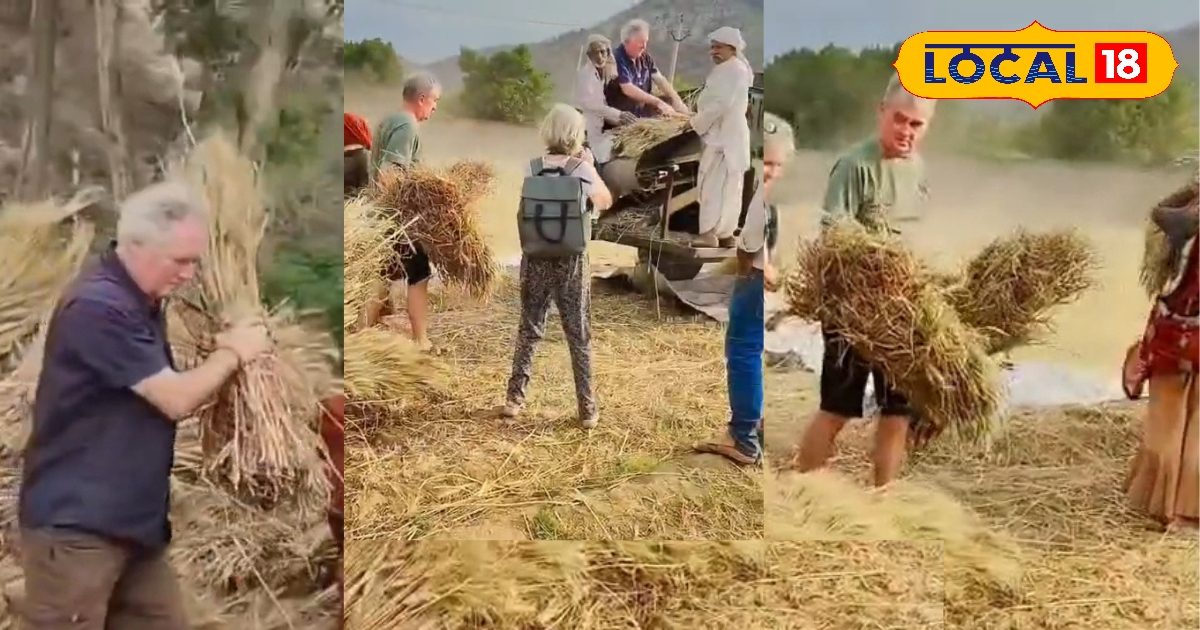 अलवर में विदेशी मेहमान बने किसान! फ्रांस से आए पर्यटकों ने खेत में बहाया पसीना, अनोखा नजारा हुआ वायरल