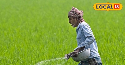 तेज गर्मी से फसलों को ऐसे बचाएं, एक्सपर्ट ने किसानों के लिए बताये अहम सुझाव