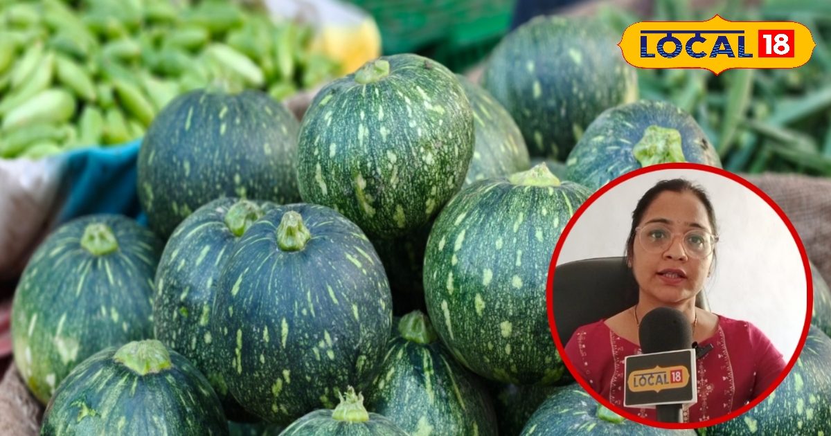 वजन घटाए, इम्युनिटी बढ़ाए…99% लोग नहीं जानते कद्दू के ये वाले जादुई फायदे