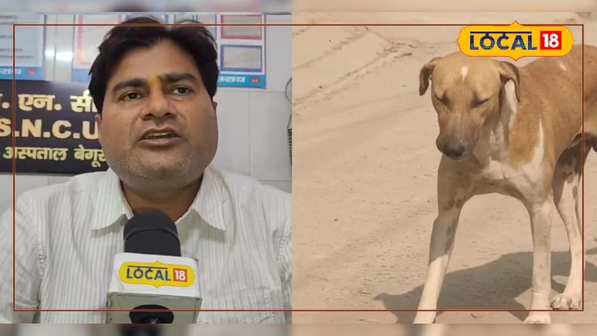 जानिए कुत्ता काटने पर भौंकने की अफवाह का सच, डॉक्टर ने बताई पूरी सच्चाई
