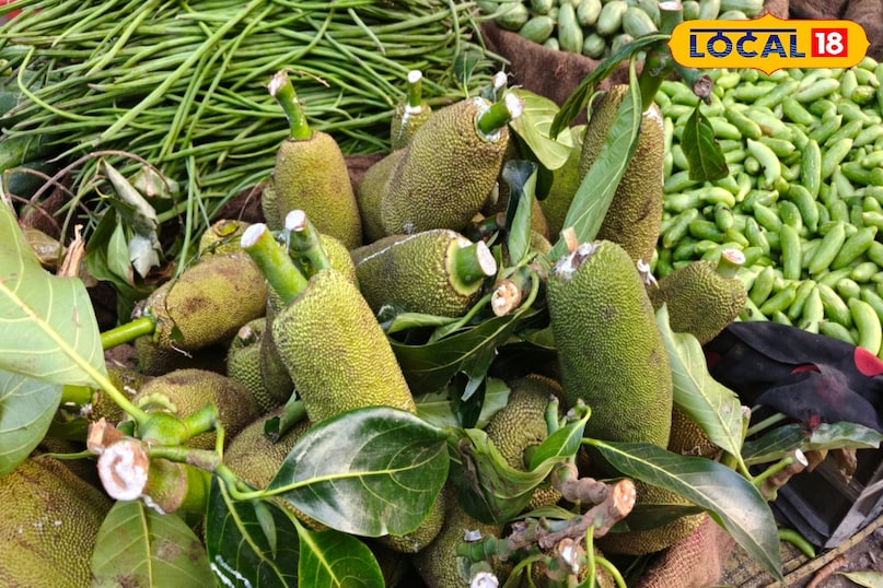 इम्युनिटी पॉवर इम्युनिटी पॉवर