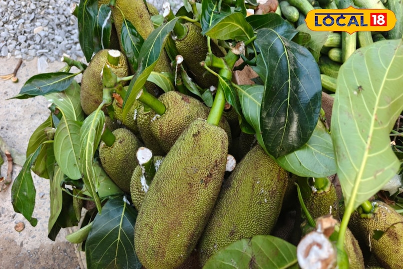 वजन घटाना वजन घटाना