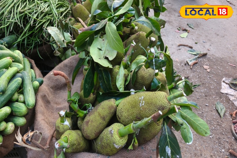 त्वचा और बाल त्वचा और बाल