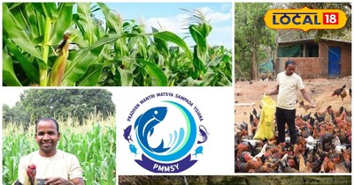 समन्वित कृषि प्रणाली से लाखों इनकम