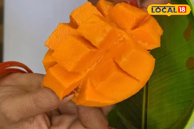 आम को रसीला कैसे बनाएं, आम के आकार को बड़ा कैसे करें, आम में मिठास कैसे बढ़ाएं, आम को गुदेदार कैसे बनाएं, लोकल 18, How to make mango juicy, how to increase the size of mango, how to increase the sweetness of mango, how to make mango pulpy, Local 18