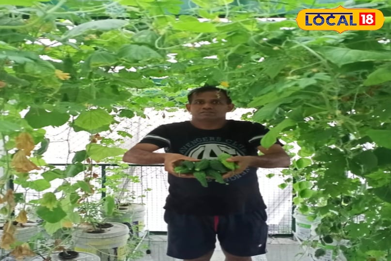 रामवीर सिंह रामवीर सिंह