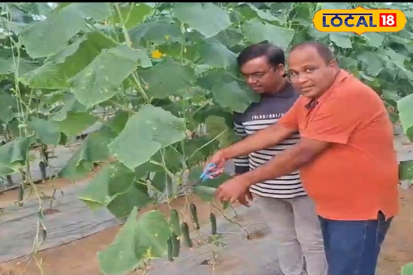 राजेंद्र गंगवार अपनी आधुनिक और टिकाऊ जैविक कृषि पद्धतियों राजेंद्र गंगवार अपनी आधुनिक और टिकाऊ जैविक कृषि पद्धतियों