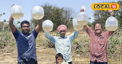 महा झींगा मछली पालन से आदिवासियों को रोजगार की मिली  नई दिशा, गुमला बना मॉडल जिल