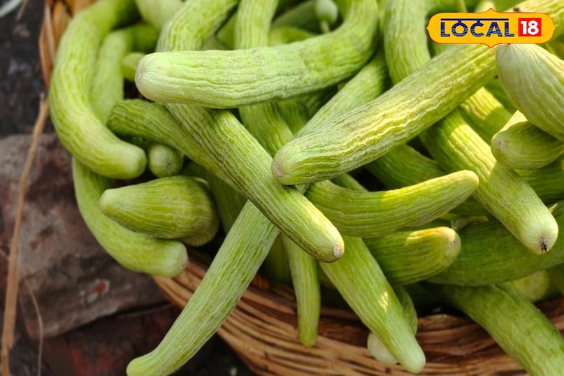 पाचन तंत्र