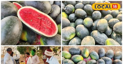 तरबूज की खेती से लाखों इनकम