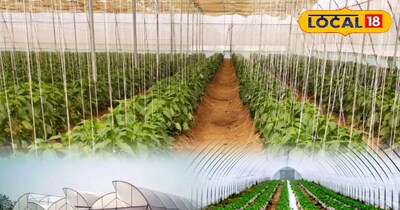 पोली हाउस फार्मिंग 