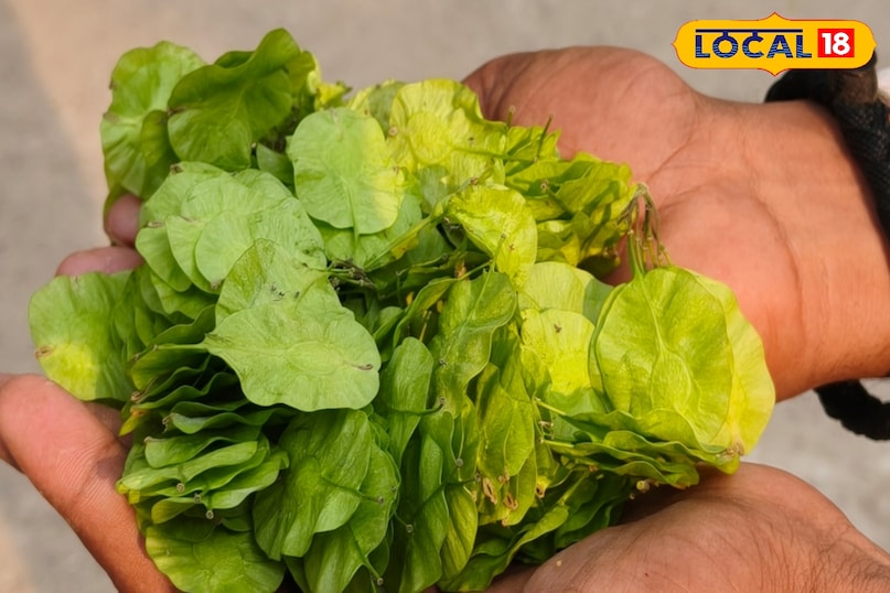 त्वचा रोग