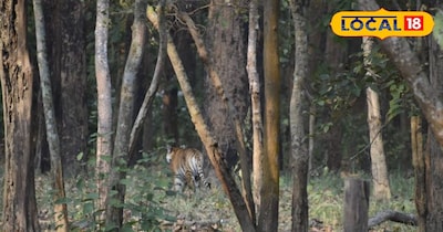 प्रतीकात्मक तस्वीर 
