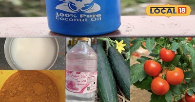 সূর্যের ট্যান? রান্নাঘরের এই 7টি জিনিস দিয়ে ঘরে বসেই পান প্রাকৃতিক উজ্জ্বলতা!