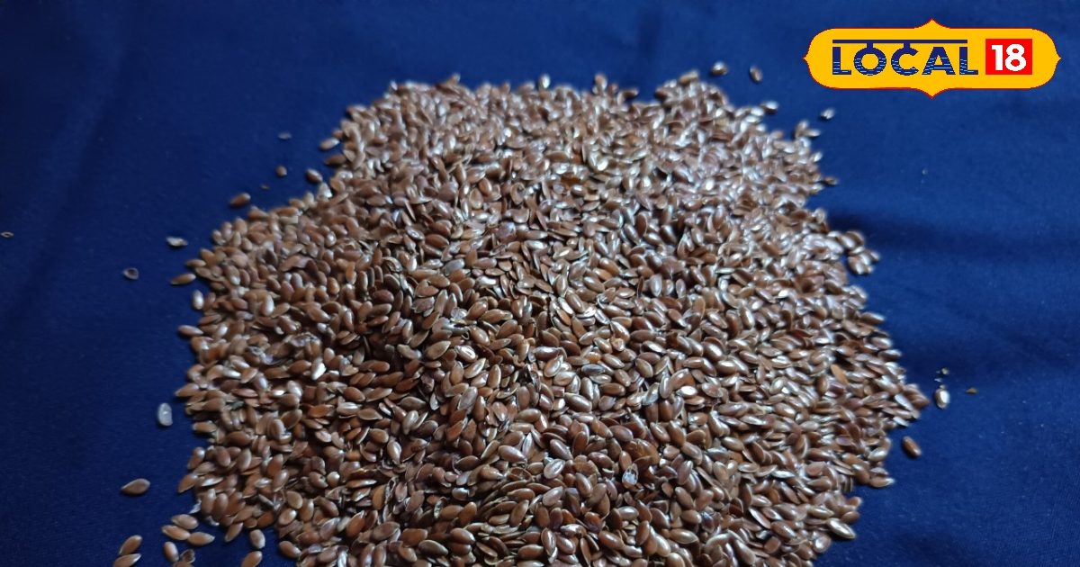 गर्मियों में शरीर के लिए ‘AC’ है ये भूरा बीज! खोई हुई ताकत लौटाएगा वापस