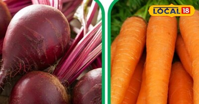 इन दोनो की खेती करके आप अच्छा मुनाफा कमा सकते है