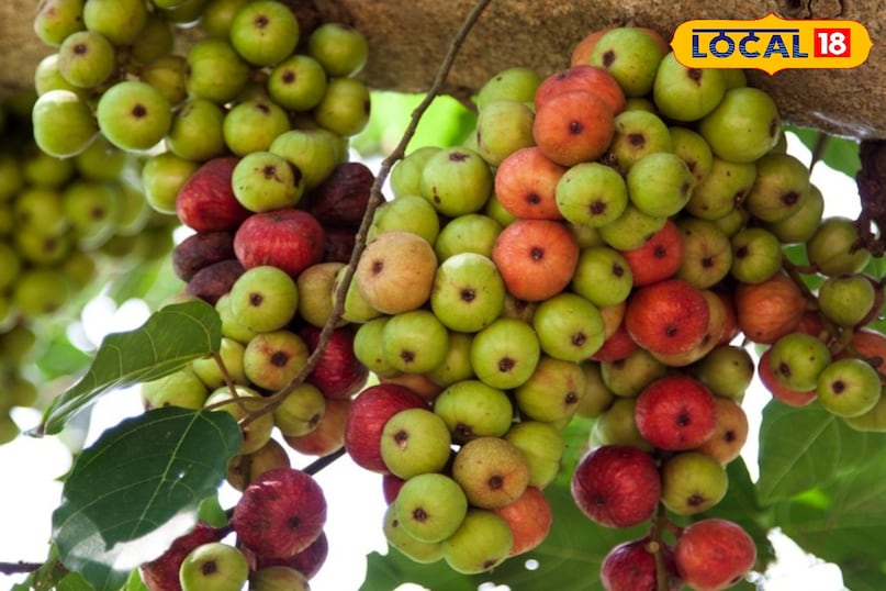 शुगर की समस्या 