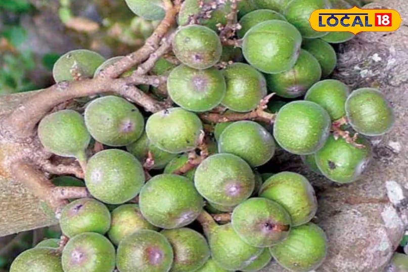 घाव और त्वचा