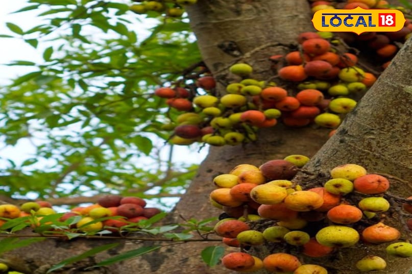 मुंह के छाले 